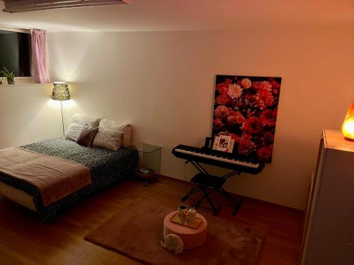 Private Room with Independent Entrance in Basel