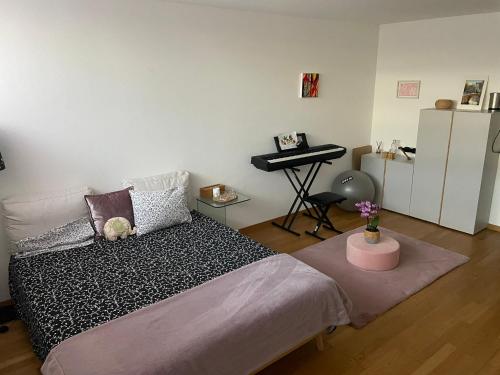Private Room with Independent Entrance in Basel