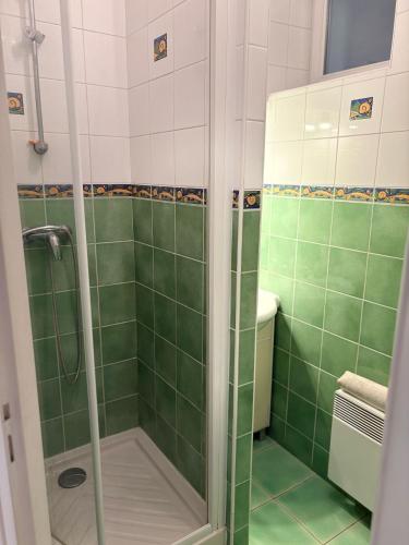 La salle de bains est pourvue d'une douche avec du carrelage vert. dans l'établissement Studio - Hypercentre, à Bourges