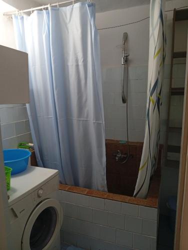 a bathroom with a shower curtain and a toilet at Apartment Radovic in Kotor