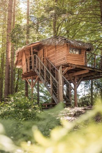 Treehouse Šumava