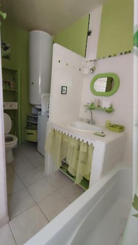 une salle de bain avec un lavabo et des toilettes dans l'établissement Le gîte du moulin, à Thézan-des-Corbières