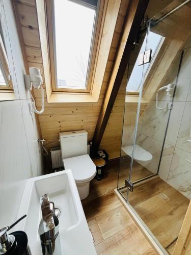 a bathroom with a toilet and a glass shower at Cabana Twins A-Frame 2 in Sibiu