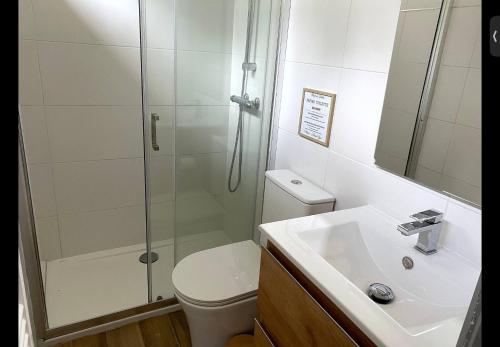 a bathroom with a shower and a toilet and a sink at Cottage, L étrille, WIFI gratuit, proche de la mer, jardin, terrasse in Jullouville-les-Pins