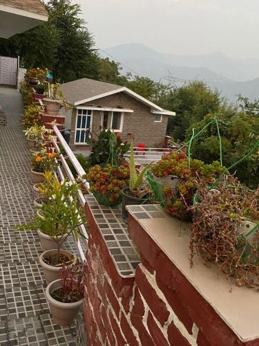 Gallery image of Tehri Farms in Faigul