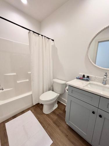 a bathroom with a toilet and a sink and a mirror at NEW Couyon House Luxury Amenities Fast WiFi 65 TV in Lafayette