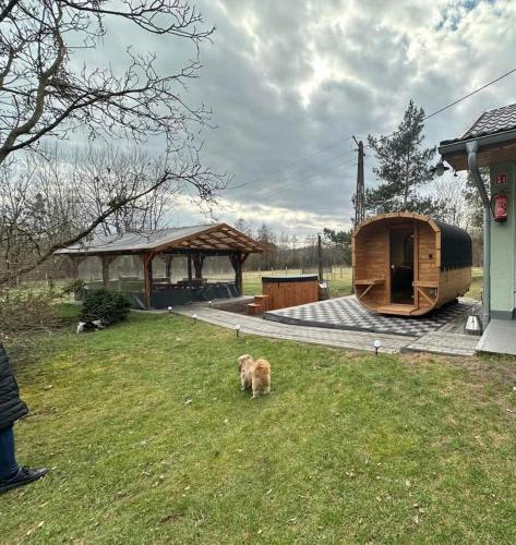 a dog standing in the grass next to a house at Agroturystyka PLENER in Miedzichowo