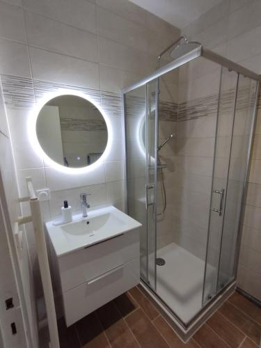une salle de bain avec un lavabo et une douche avec un miroir dans l'établissement Studio Proche Cure Rochefort, à Rochefort