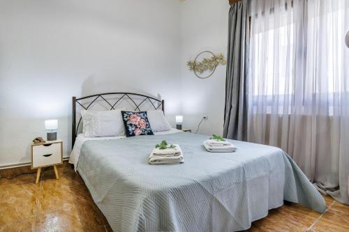 Skopelos Arbaroriza House with sea view