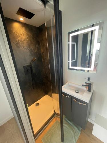 une salle de bain avec douche et lavabo dans l'établissement Studio de jardin neuf, à Étoile-sur-Rhône
