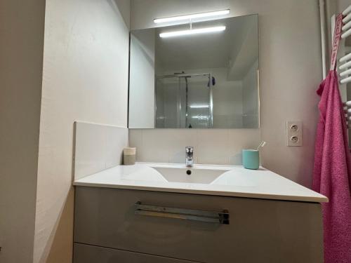 une salle de bain avec un lavabo et un miroir dans l'établissement Les Mules - Wifi, Parking, Piscine, Central, à La Baule
