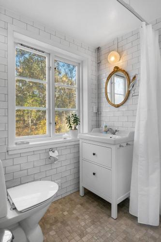 a bathroom with a toilet and a sink and a window at Grimsnas Herrgard in Ljuder