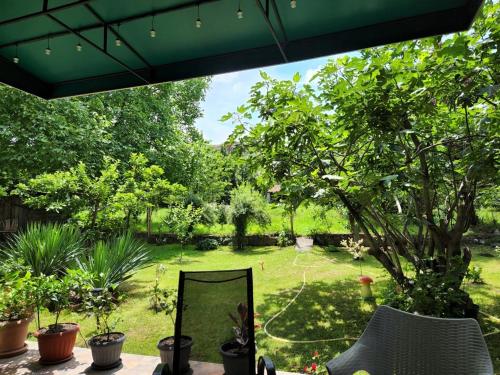 Afbeelding uit fotogalerij van Sunflower in Telavi