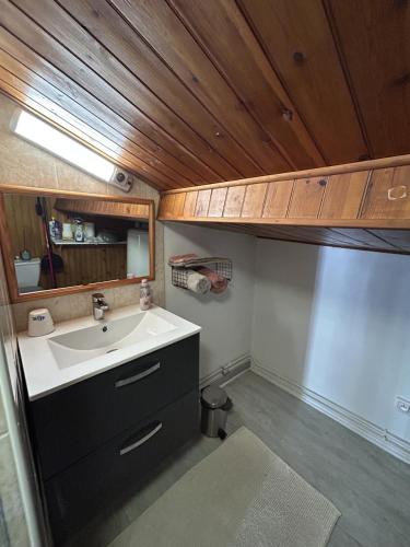 une petite salle de bain avec un lavabo et une douche dans l'établissement Studio Les Sables d'Olonnes Hypercentre, à Les Sables-dʼOlonne