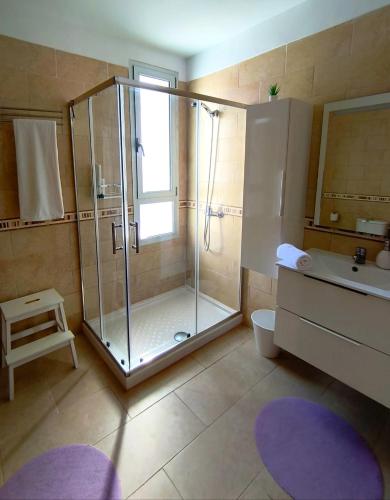 a bathroom with a shower and a toilet and a sink at La terraza de la Jaca in Arico