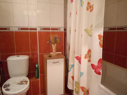 ビャラにあるSplendid sunny seasonsのバスルーム(トイレ、蝶が描かれたシャワーカーテン付)
