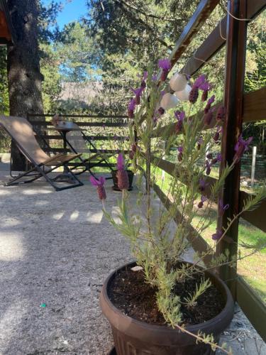 Billede fra billedgalleriet på Moonica Rujiste i Mostar