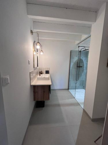 une salle de bain avec un lavabo et une douche dans l'établissement la maison de Mélissa, à Gétigné