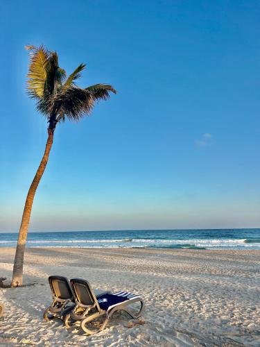 two beach chairs and a palm tree on the beach at Garden Villa in Ţāqah