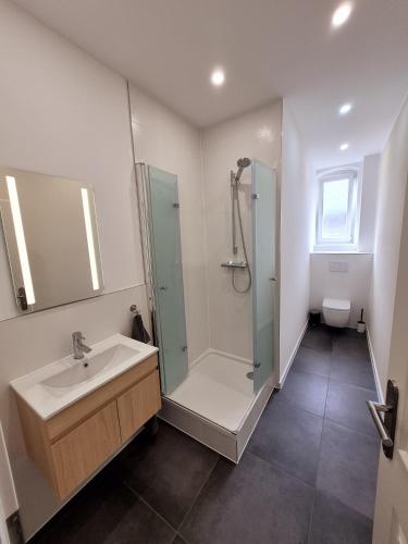 a bathroom with a shower and a sink at Süße Marie 17 in Karlsruhe