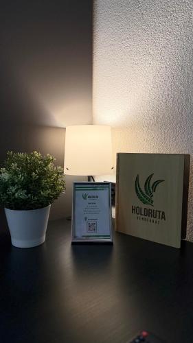 a box and a laptop on a table with a plant at Holdruta Vendégház in Kunfehértó