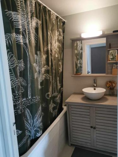 une salle de bain avec un rideau de douche et un lavabo dans l'établissement Charming apartment in Bordeaux, 2 steps from the train station, à Bordeaux