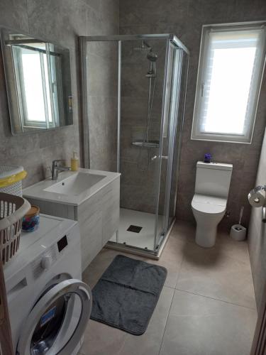 un bagno con doccia, WC e lavandino di Yellow Hill Penthouse a Żebbuġ