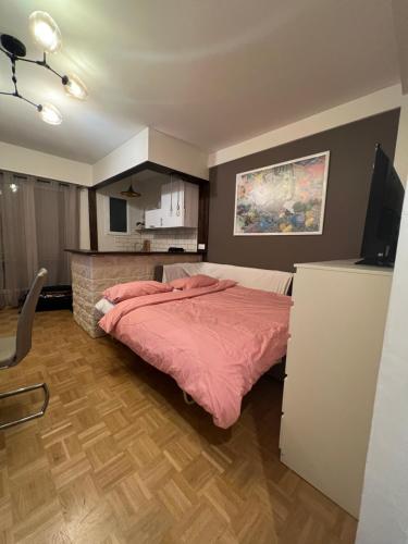 une chambre avec un lit avec une couverture rose dans l'établissement Superbe studio au centre de Nice, à Nice