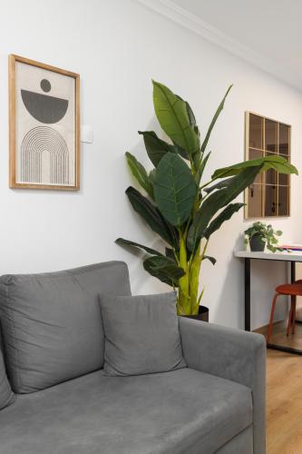 Central Suite by Nest