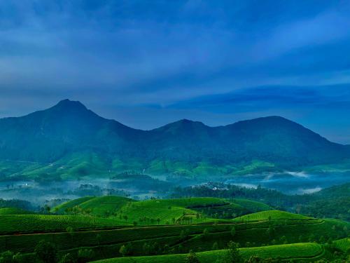 a view of a tea plantation in the hills at Lockhart Bungalow Munnar - A CGH Earth SAHA Experience in Munnar
