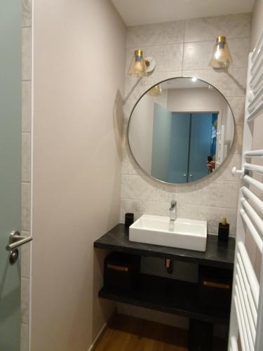 une salle de bain avec un lavabo et un miroir dans l'établissement Le Richelieu 