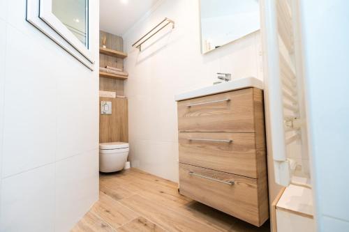 une salle de bain avec un lavabo et des toilettes dans l'établissement Cozy Apartment in Old Town Nice, à Nice