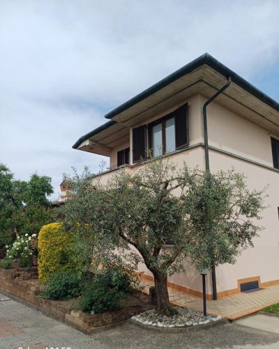 a house with a tree in front of it at Casa Dante in Romano di Lombardia