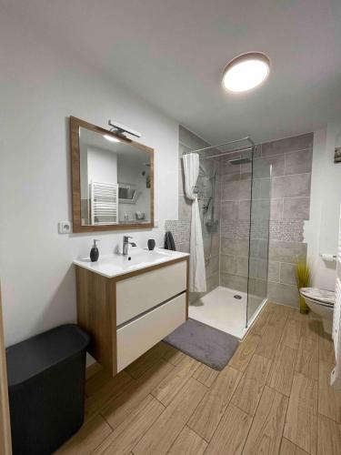 une salle de bain avec un lavabo et une douche avec un miroir dans l'établissement Le Cosy, à Hyères