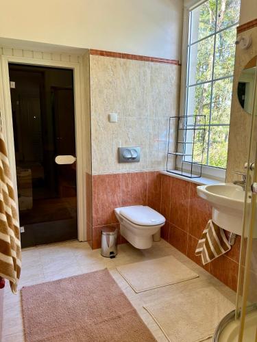 a bathroom with a toilet and a sink and a shower at Villa Otolice obok Łowicza, 6 sypialni, basen, sauna, snooker, 50 minut od Warszawy i Łodzi in Łowicz
