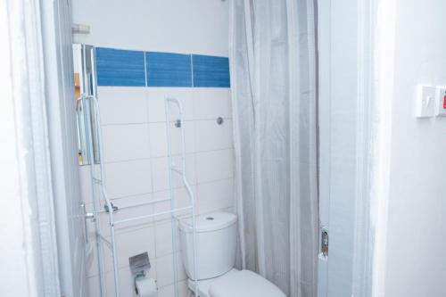 a white bathroom with a toilet and a shower at Serene Getaway Studio Along Ngong road-Nairobi,Kenya in Nairobi