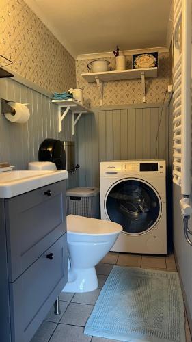 a small bathroom with a washing machine and a toilet at Timjan Forest Resort in Nydala