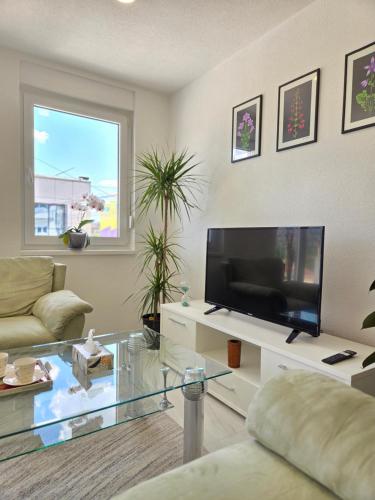 a living room with a tv and a glass table at Sarajevo Pulse Residence in Sarajevo