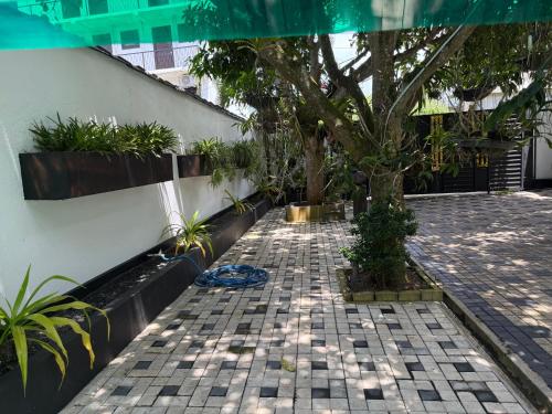 a tree on a sidewalk next to a building at Avon Villa in Hikkaduwa