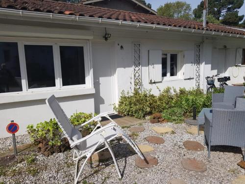 l'hirondelle du coulin