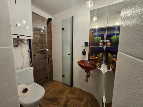 a bathroom with a sink and a toilet at Domek Przy Promenadzie Zdrojowej in Gołdap