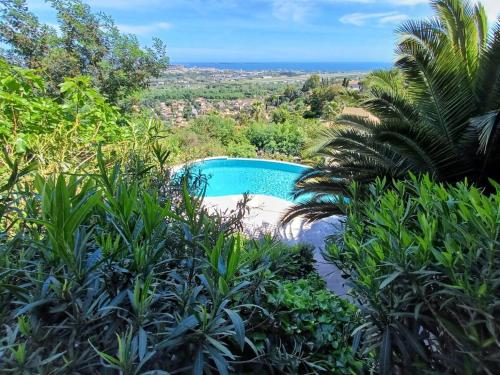 une piscine au milieu de certaines plantes dans l'établissement Chez Nina - vue mer, à Mandelieu-la-Napoule