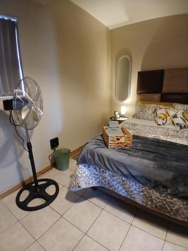 Schlafzimmer mit einem Bett und einem Ventilator in der Unterkunft Counting Crows in Springbok