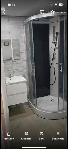 une salle de bain avec douche et lavabo dans l'établissement Gîte ALRA 3 chambres, à Manneville-ès-Plains