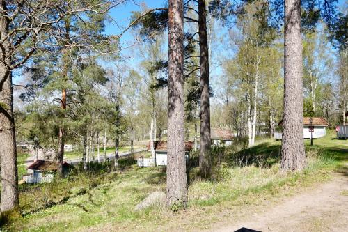 a dirt road through a forest with trees at Vimmerby Camping in Vimmerby