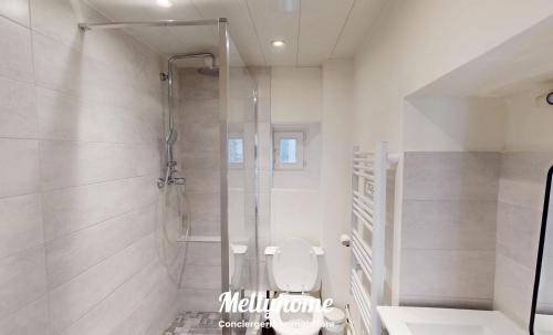 une salle de bain blanche avec douche et toilettes dans l'établissement Appartement de charme hyper centre ville de Caen, à Caen