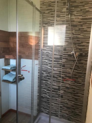 um chuveiro com porta de vidro em um banheiro em Cabañas Rewe del Maulllin em Puerto Varas