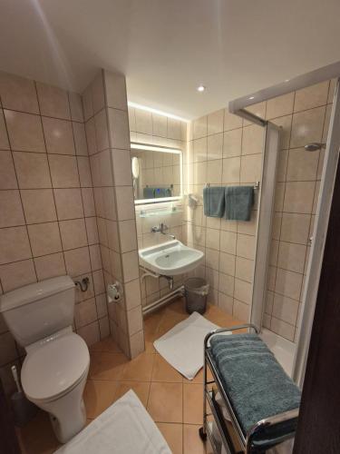 Un baño pequeño con inodoro y lavabo. en Gasthof zur Sonne, en Übelbach