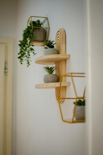 a group of shelves with plants on a wall at M & E Guesthouse in Volos