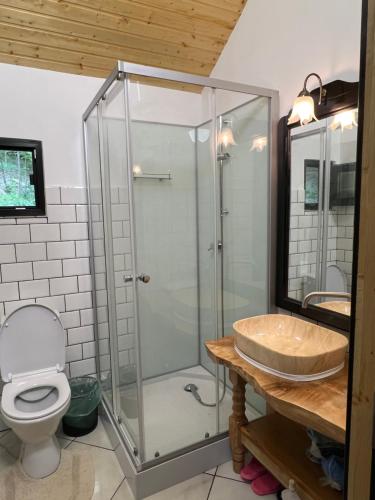 a bathroom with a shower with a toilet and a sink at Wolfs Den Lepsa in Lepşa